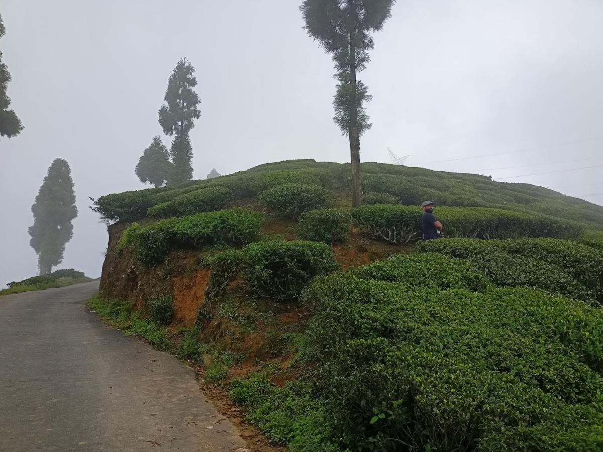 Theeng'S Homestay Mirik エクステリア 写真